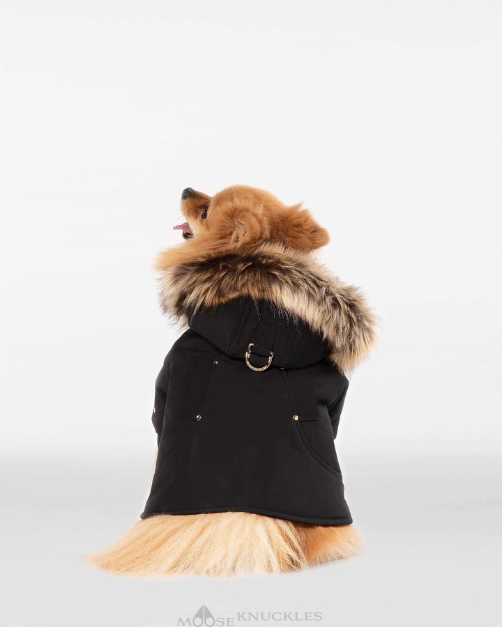 Black / Gold Faux Fur Men Moose Knuckles Pooch Parka Pet | IQZ-428563