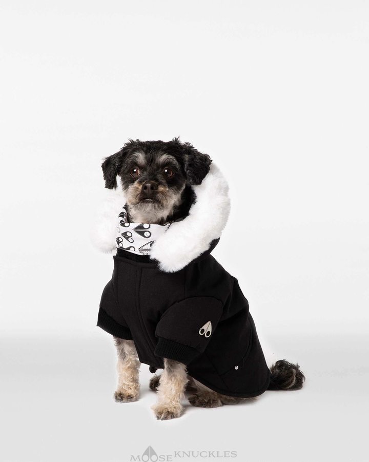 Black / White Faux Fur Men Moose Knuckles Pooch Parka Pet | WJY-814307