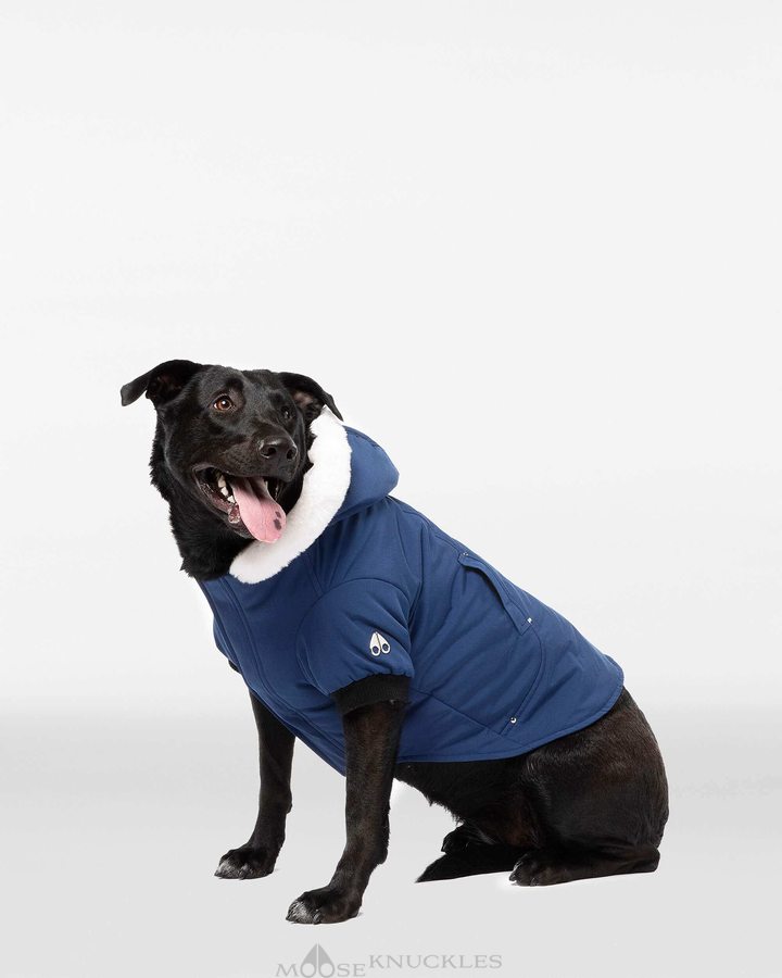 Cobalt Blue / White Faux Fur Men Moose Knuckles Pooch Parka Pet | TLX-193820