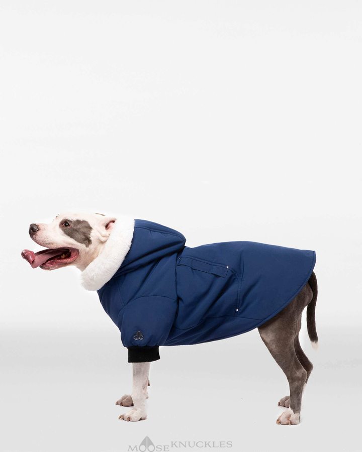 Cobalt Blue / White Faux Fur Men Moose Knuckles Pooch Parka Pet | TLX-193820