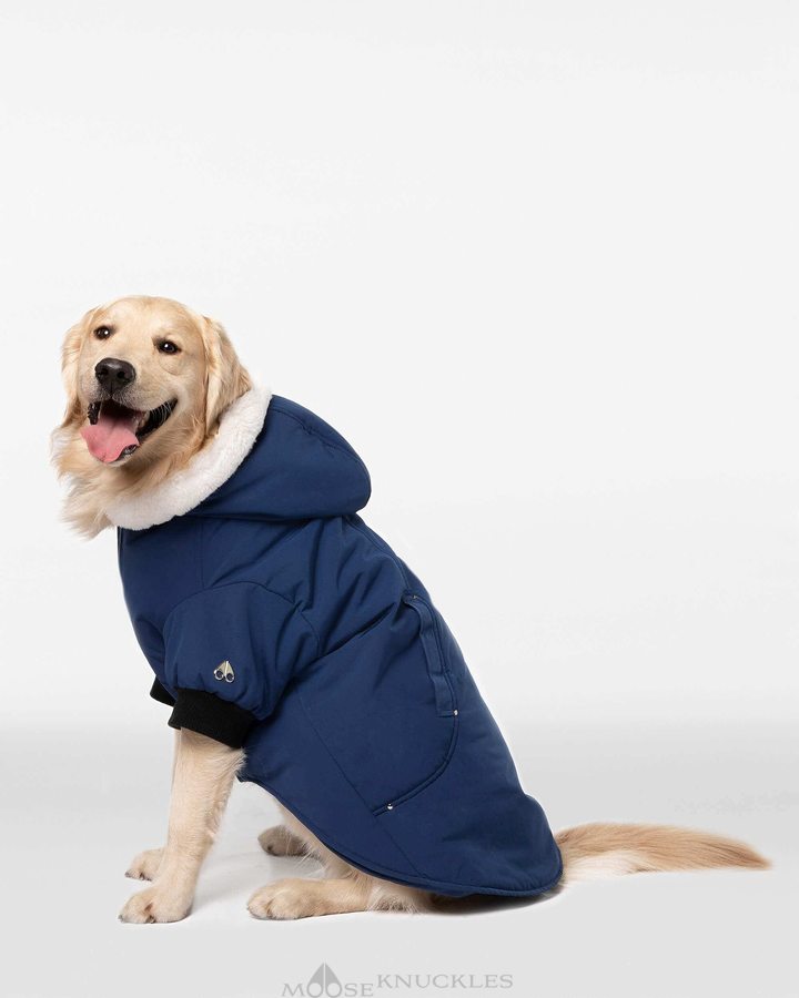 Cobalt Blue / White Faux Fur Men Moose Knuckles Pooch Parka Pet | TLX-193820