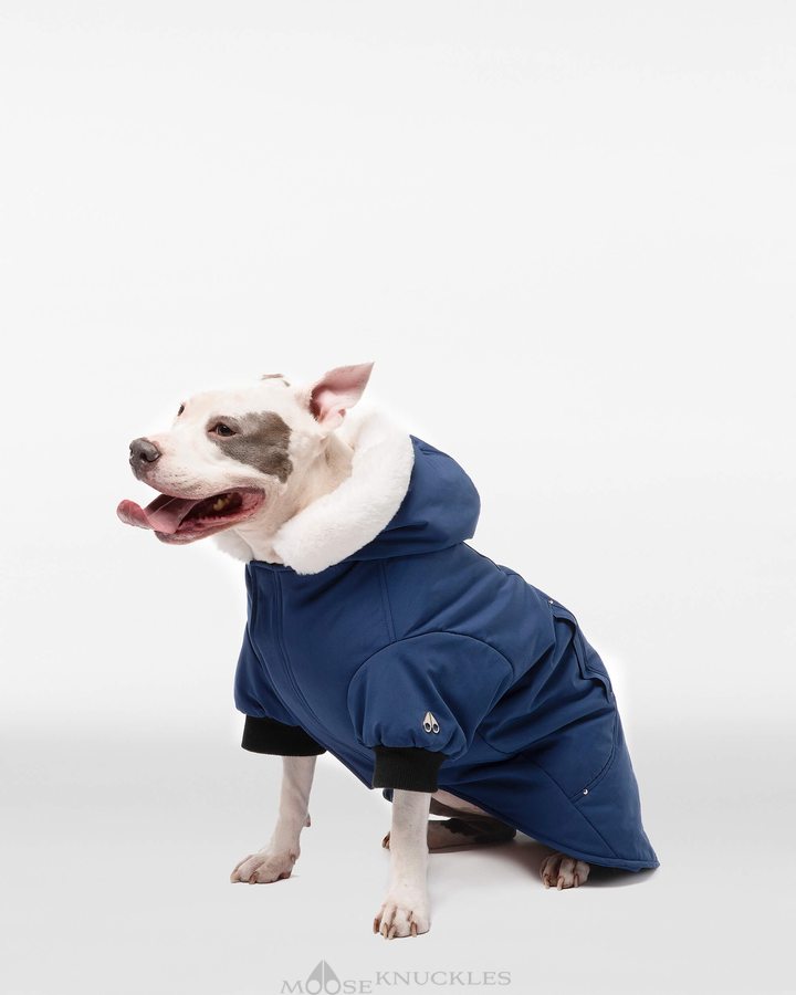 Cobalt Blue / White Faux Fur Men Moose Knuckles Pooch Parka Pet | TLX-193820