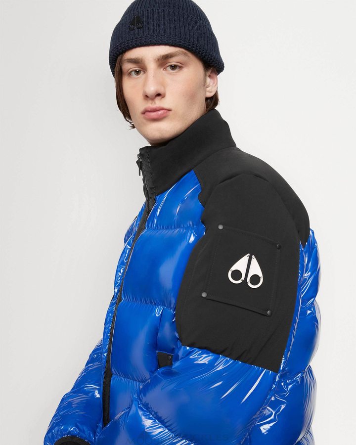 Cobalt / Black Men Moose Knuckles Dugald Puffer Jackets | TYH-247168