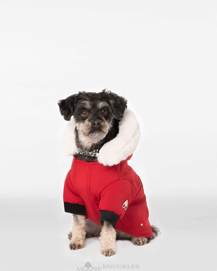 Deep Red / White Faux Fur Women Moose Knuckles Pooch Parka Pet | DER-832605