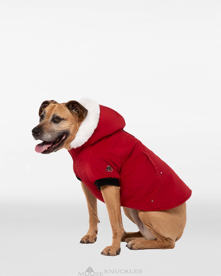 Deep Red / White Faux Fur Women Moose Knuckles Pooch Parka Pet | DER-832605