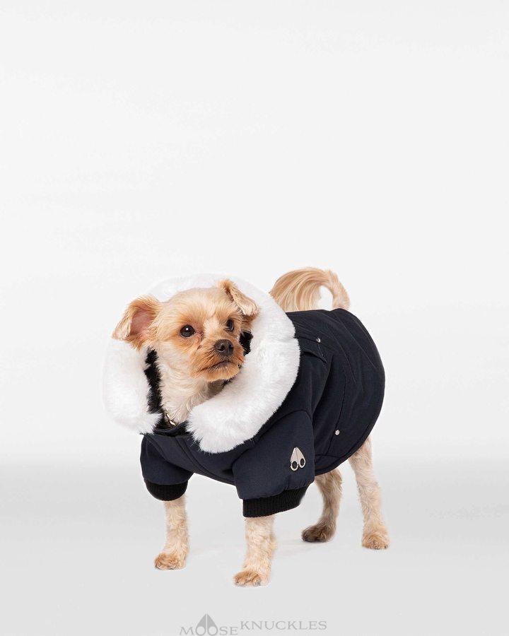 Navy / White Faux Fur Men Moose Knuckles Pooch Parka Pet | GWJ-815749